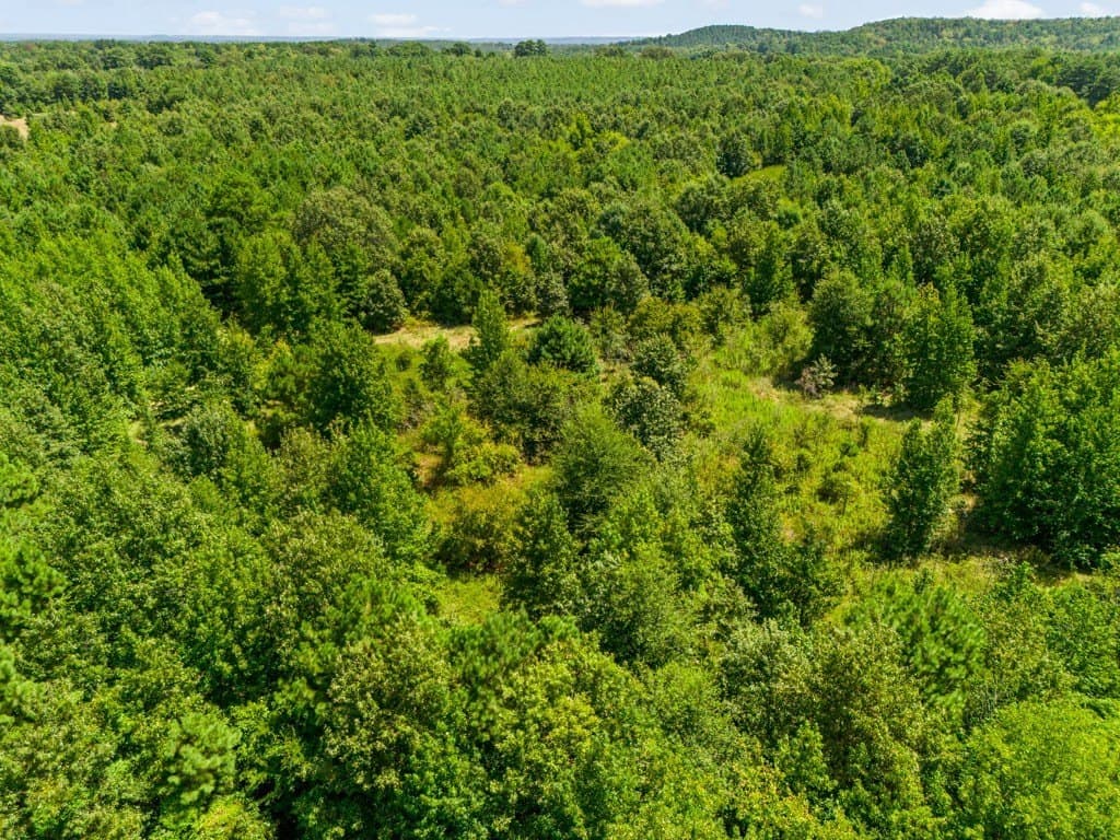 119.74 acres in Upshur County - photo 28