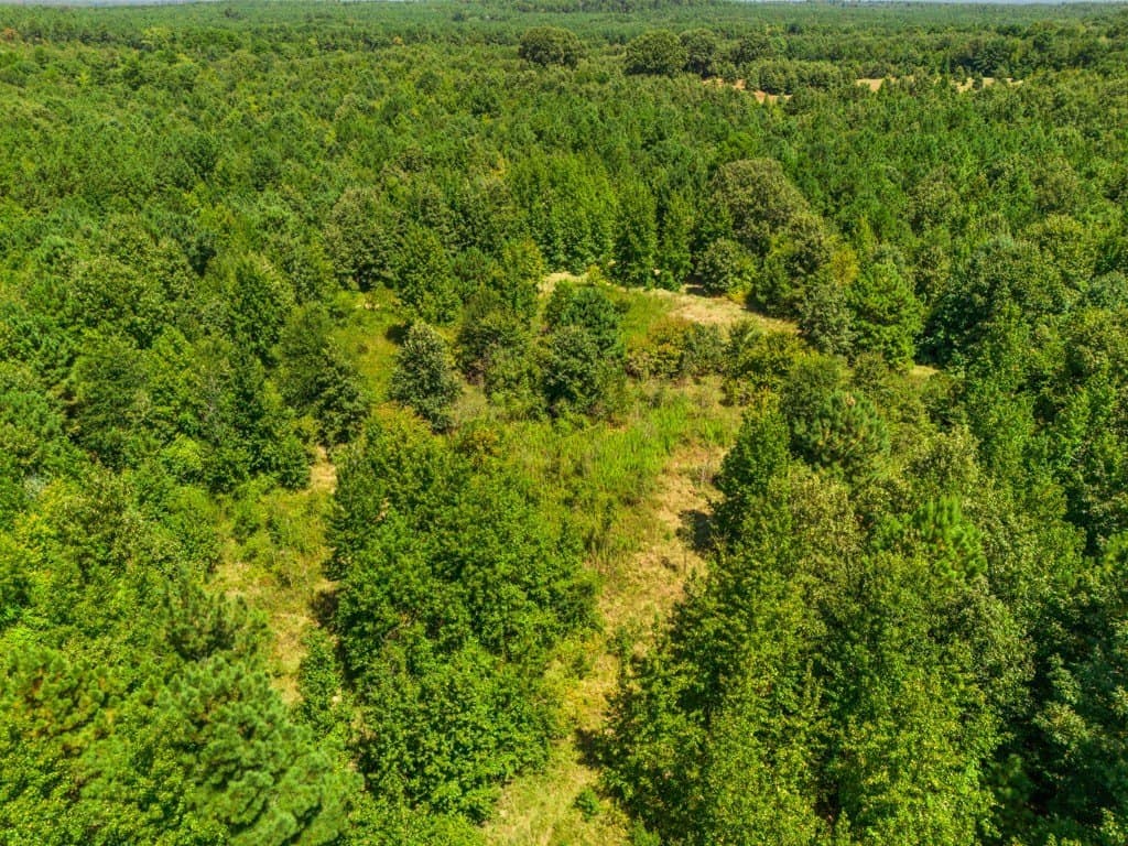 119.74 acres in Upshur County - photo 29