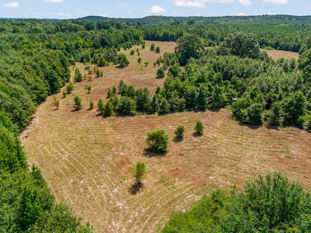 119.74 acres in Upshur County - photo 16