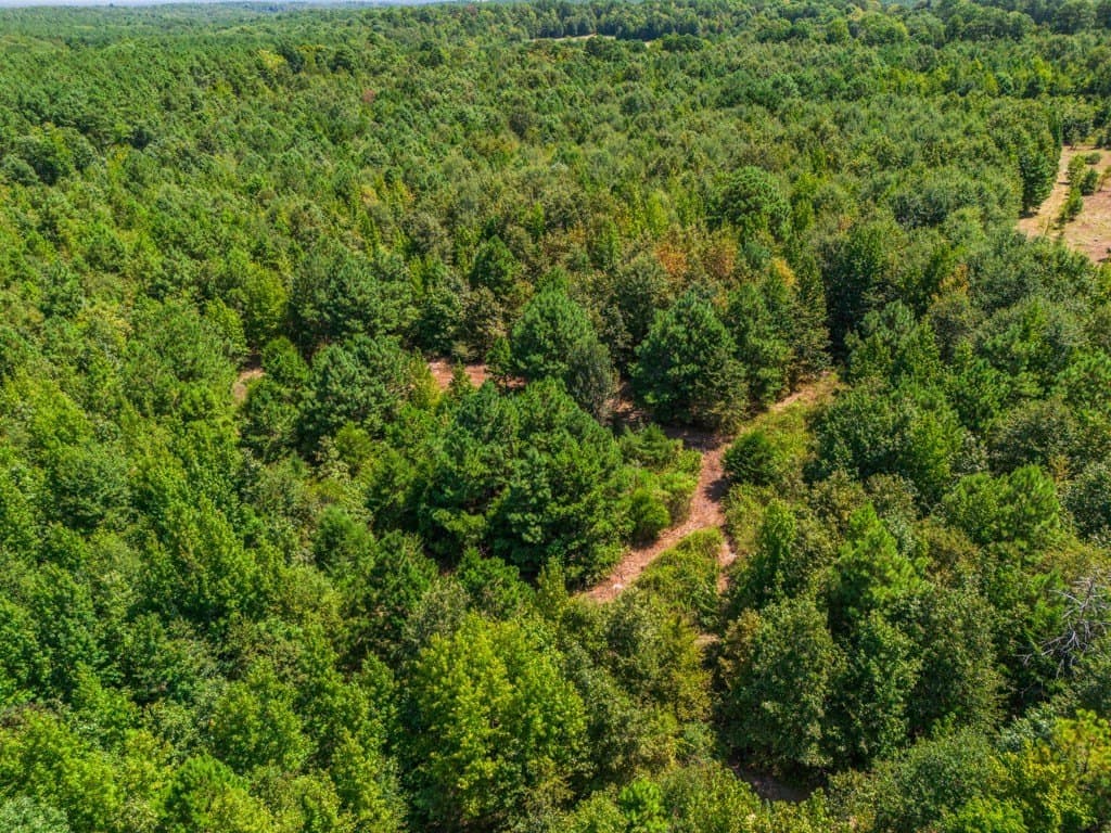 119.74 acres in Upshur County - photo 20