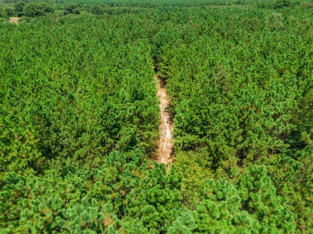 119.74 acres in Upshur County - photo 39