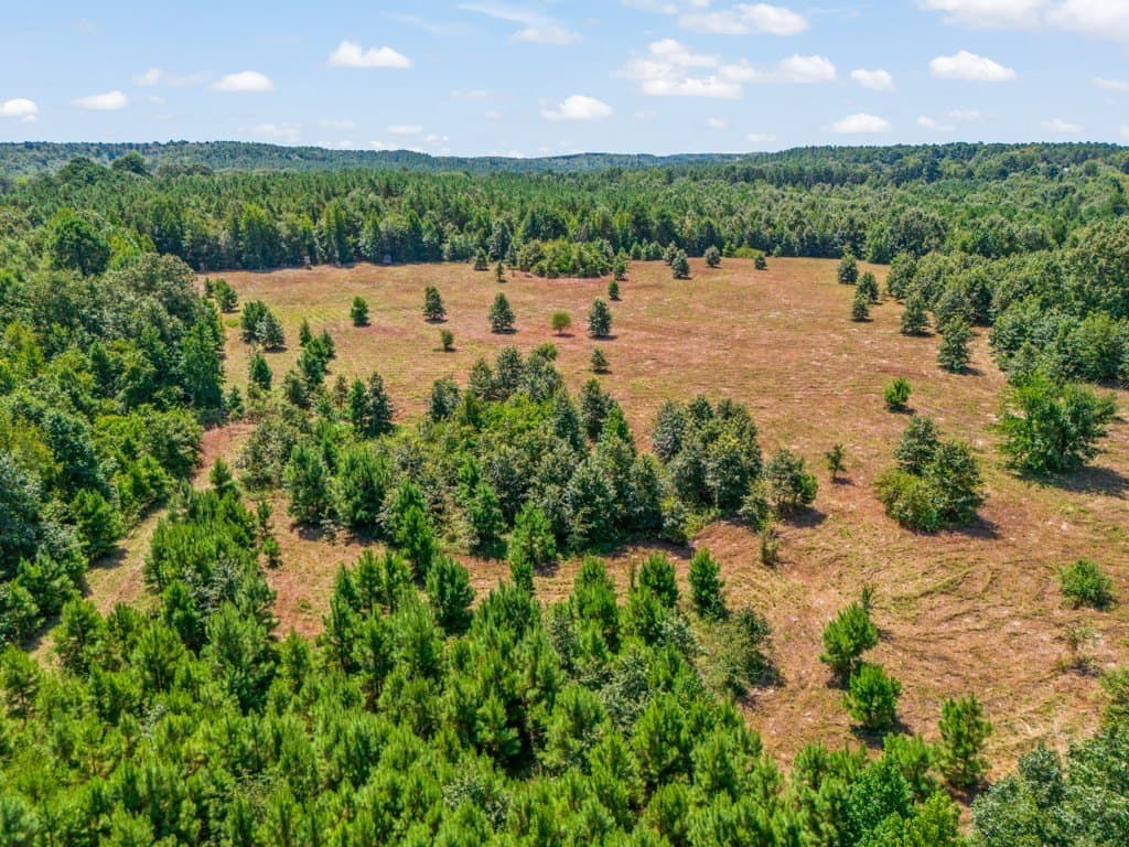 119.74 acres in Upshur County - photo 2