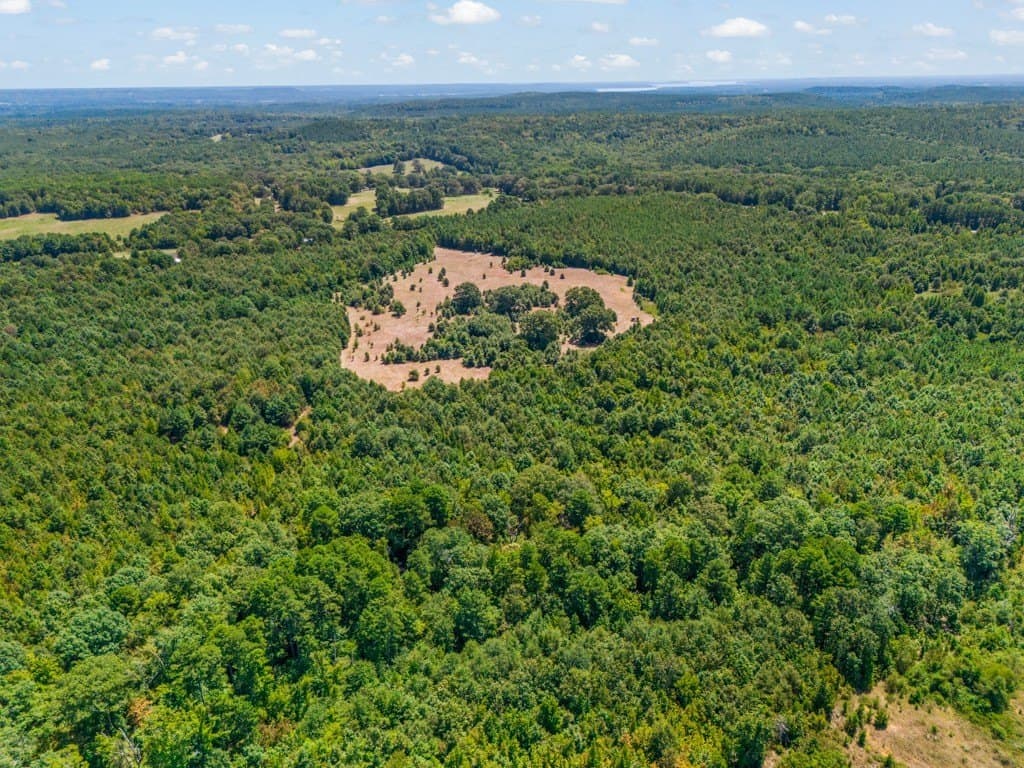 119.74 acres in Upshur County - photo 36