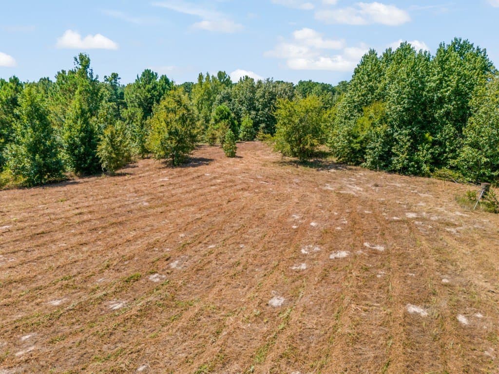 119.74 acres in Upshur County - photo 34