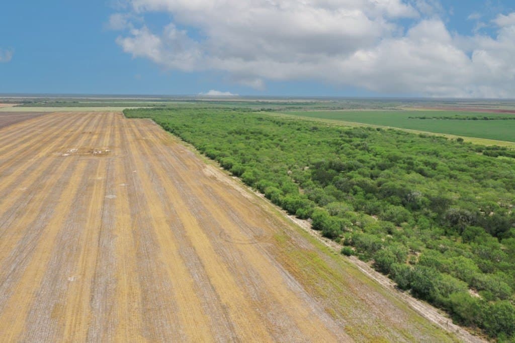 212 acres in Jim Wells County featured view