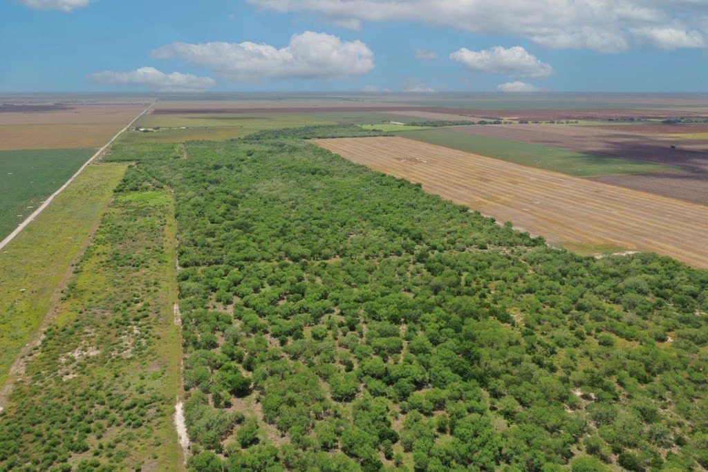 212 acres in Jim Wells County gallery image 2