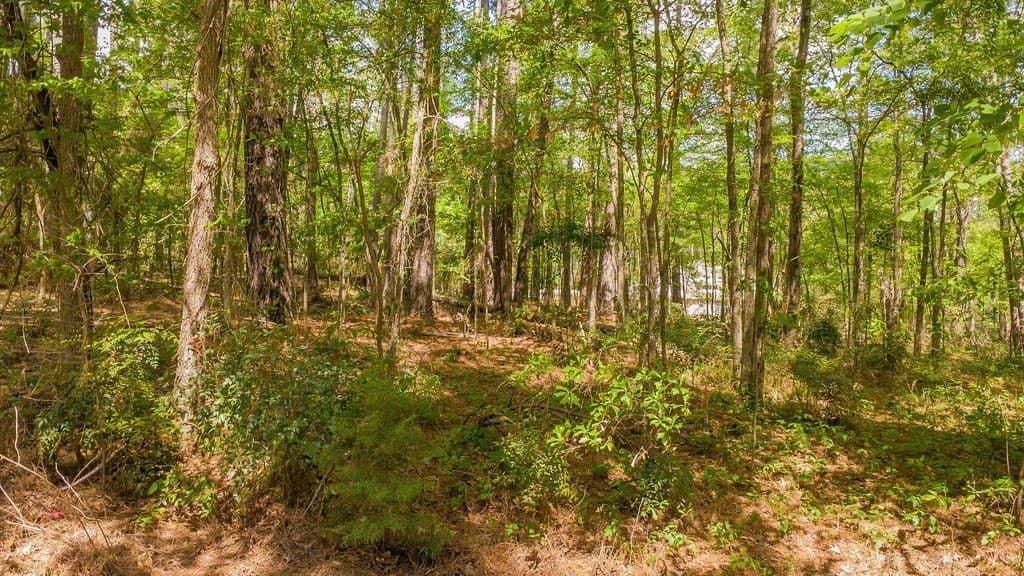 0.36 acres in Smith County - photo 21