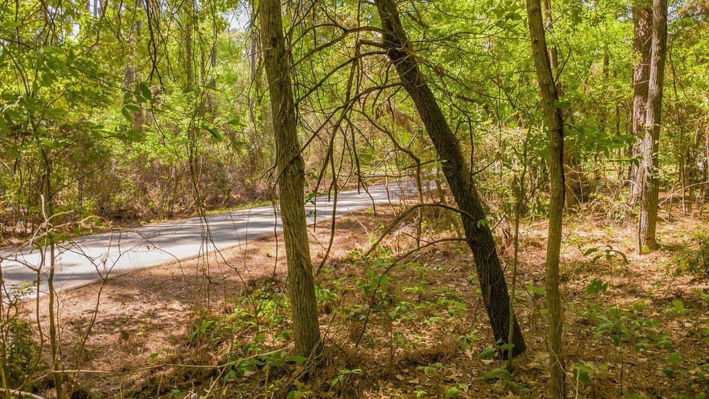 0.36 acres in Smith County - photo 24