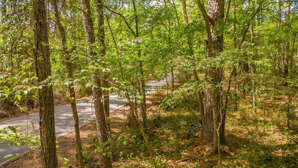 0.36 acres in Smith County - photo 17