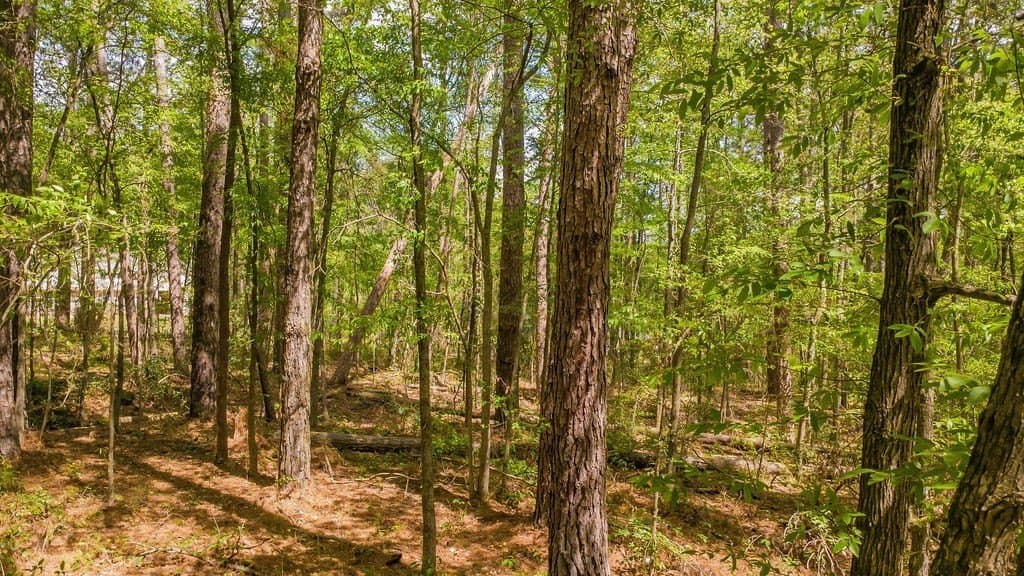 0.36 acres in Smith County - photo 15
