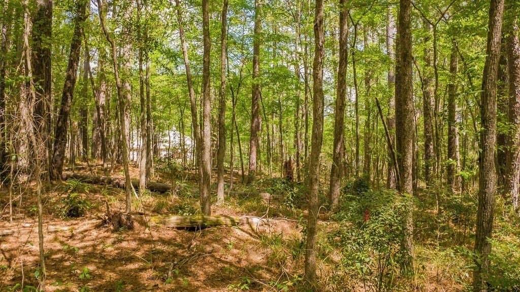 0.36 acres in Smith County - photo 22