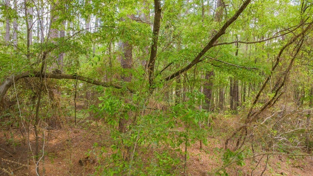 0.36 acres in Smith County - photo 28