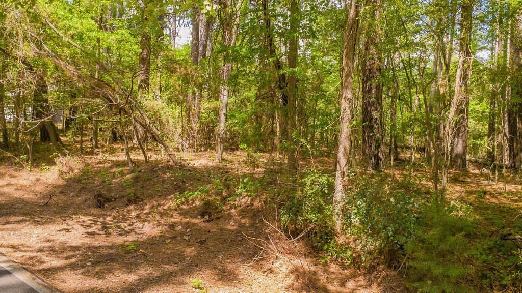 0.36 acres in Smith County - photo 20