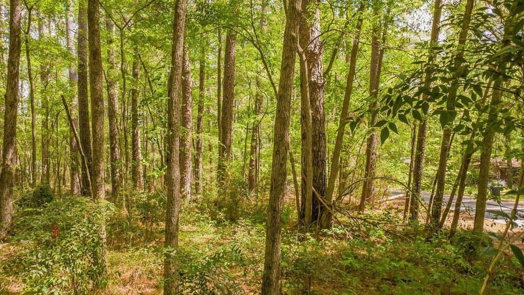 0.36 acres in Smith County - photo 26
