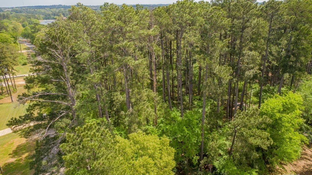 0.36 acres in Smith County - photo 10