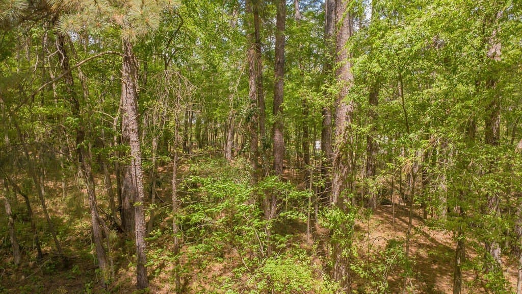 0.36 acres in Smith County - photo 12