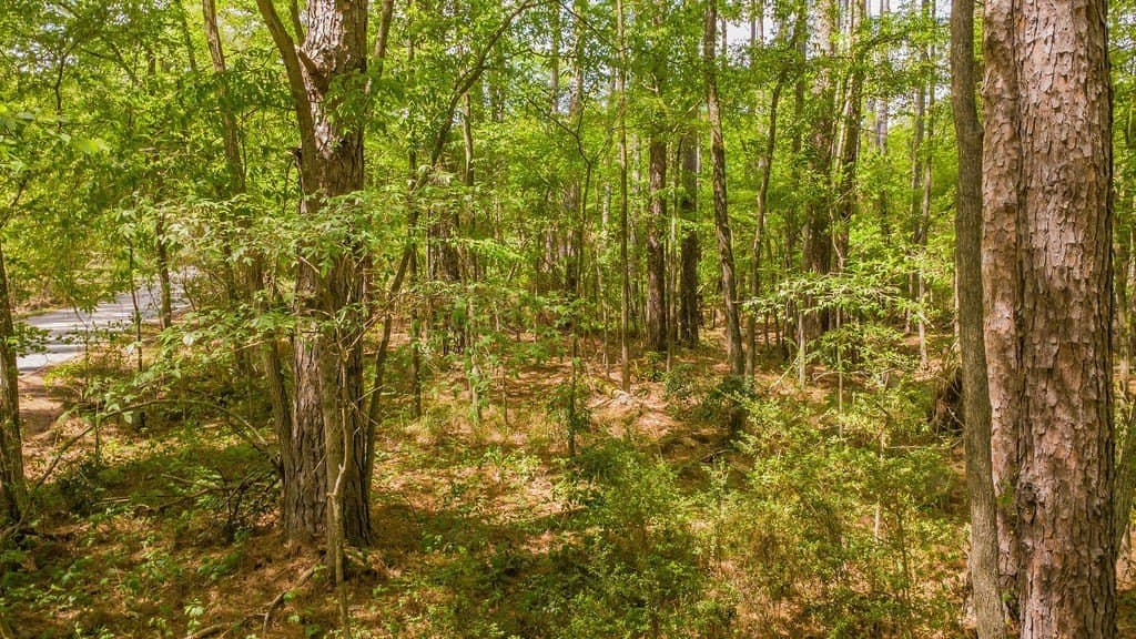 0.36 acres in Smith County - photo 2