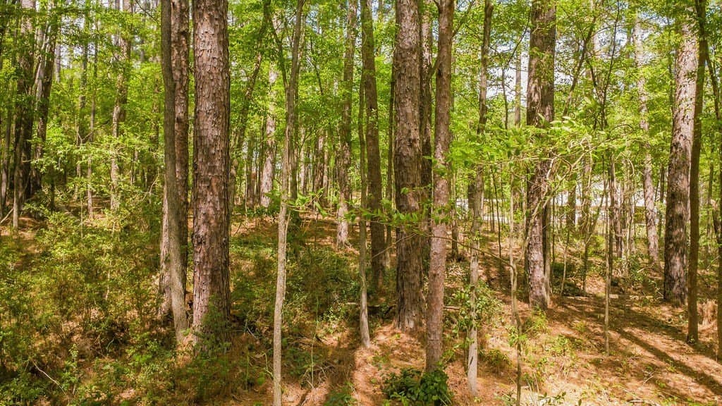 0.36 acres in Smith County - photo 14