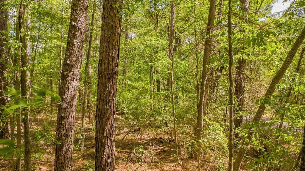 0.36 acres in Smith County - photo 18