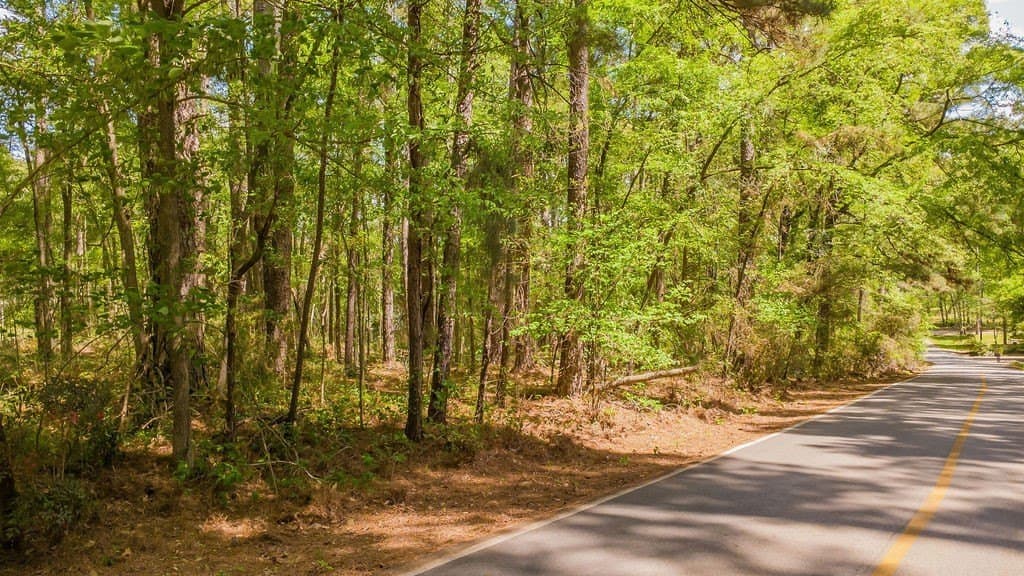 0.36 acres in Smith County - photo 27
