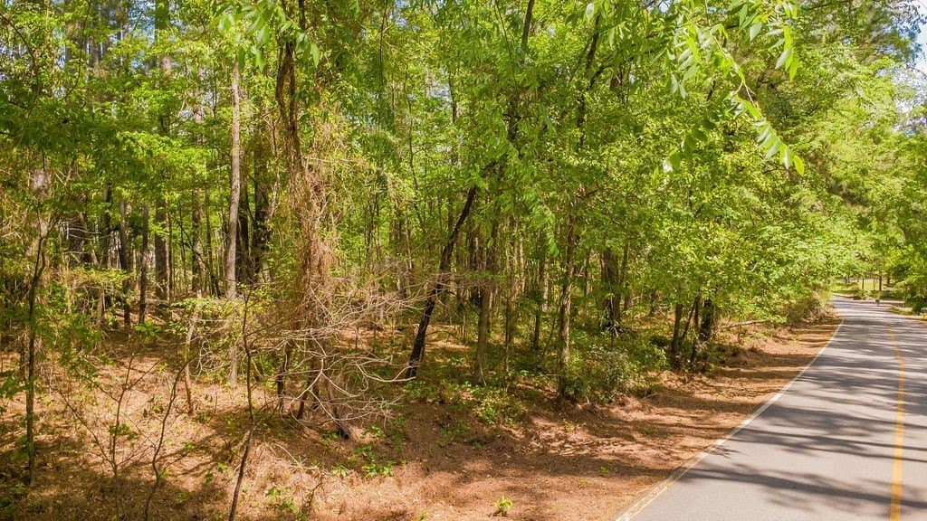 0.36 acres in Smith County - photo 29