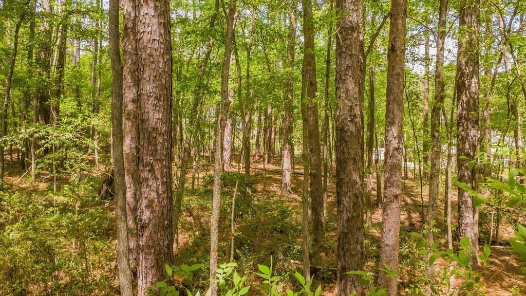 0.36 acres in Smith County - photo 16