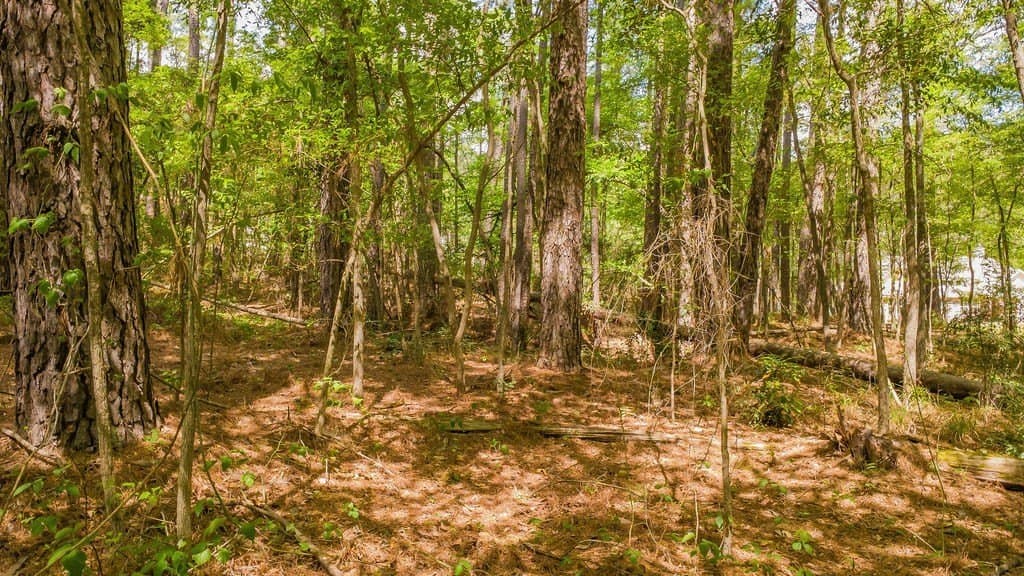 0.36 acres in Smith County - photo 3