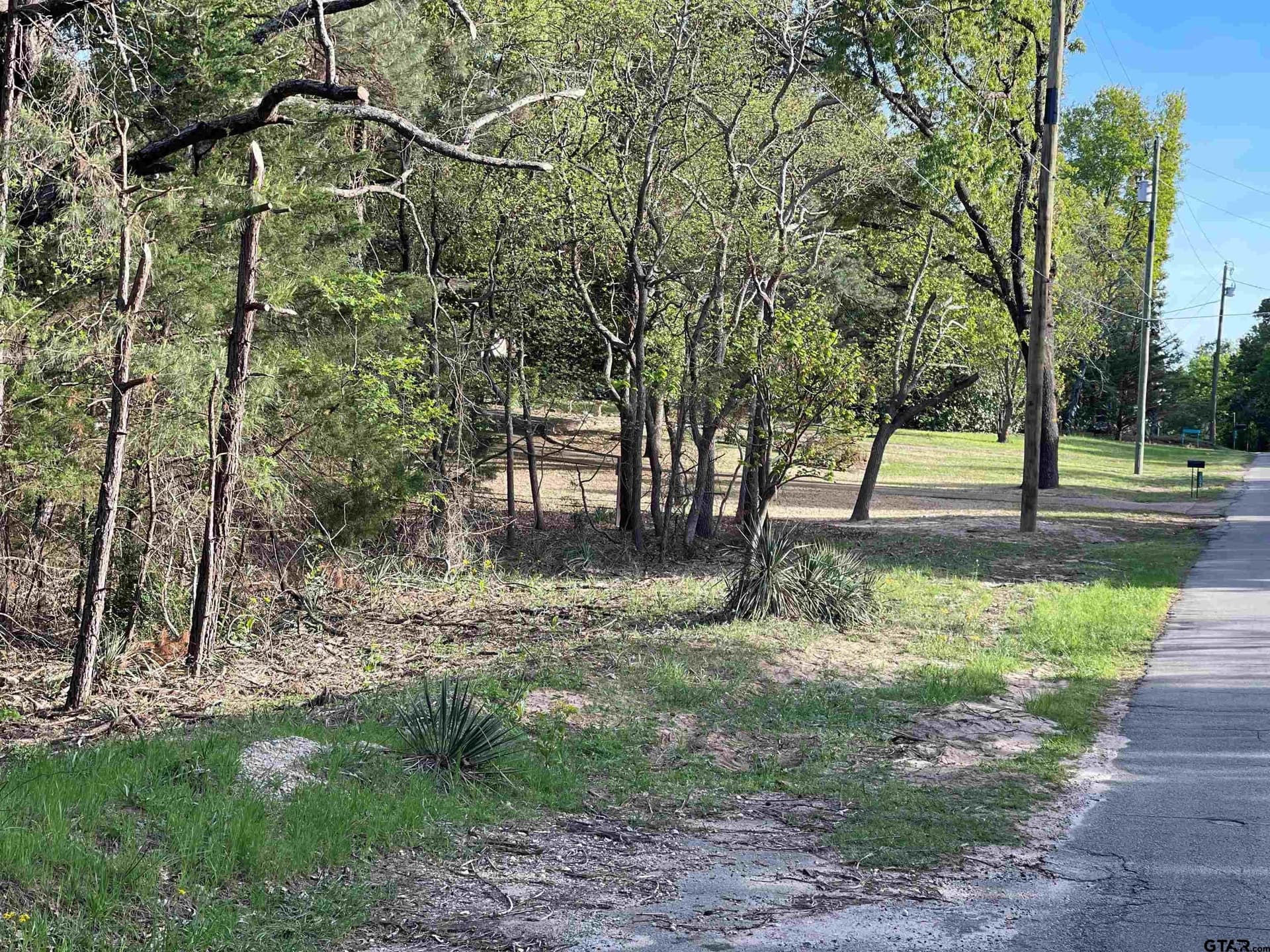 0.38 acres in Wood County gallery image 4