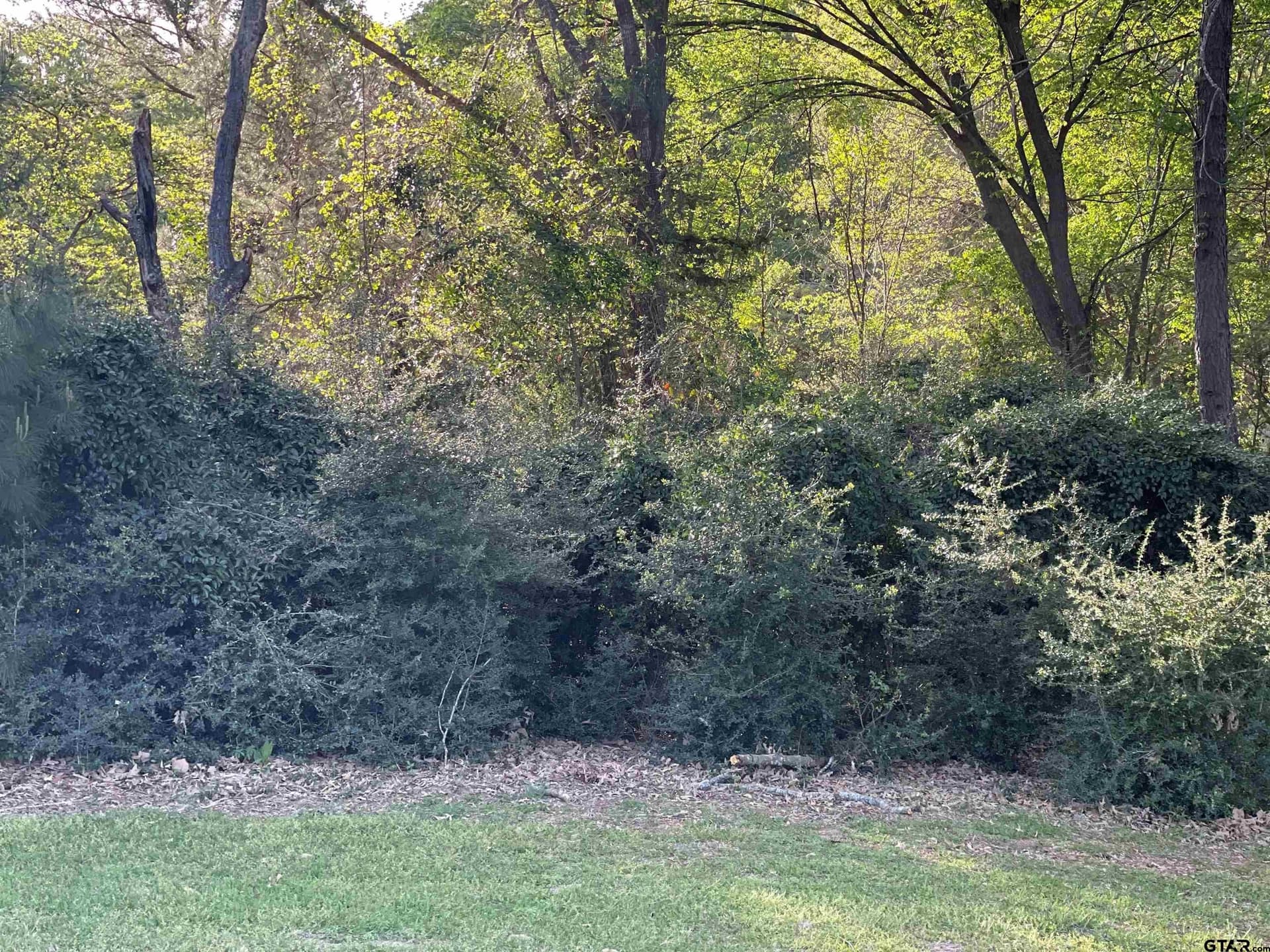 0.38 acres in Wood County featured view