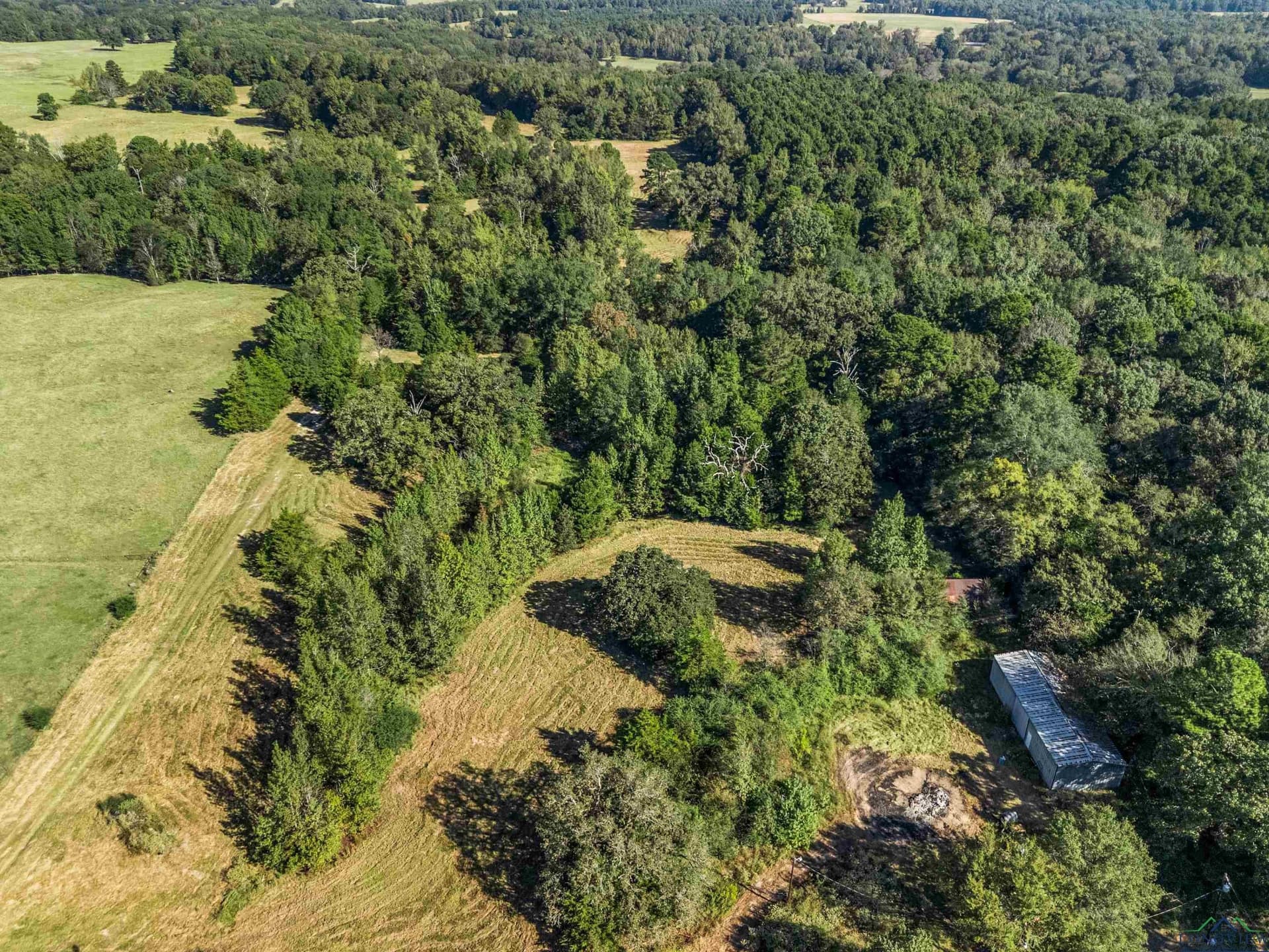 71.86 acres in Upshur County featured view