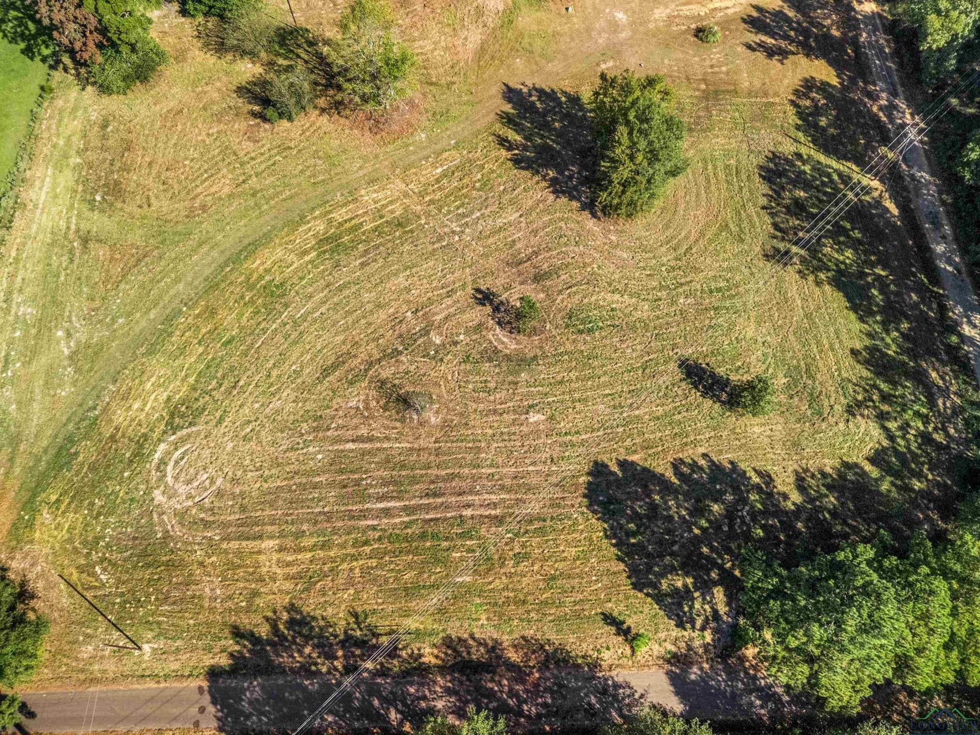 71.86 acres in Upshur County gallery image 4