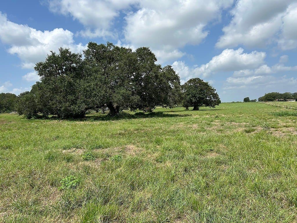 5.43 acres in Fayette County gallery image 3