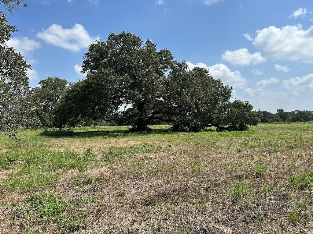 5.43 acres in Fayette County gallery image 2