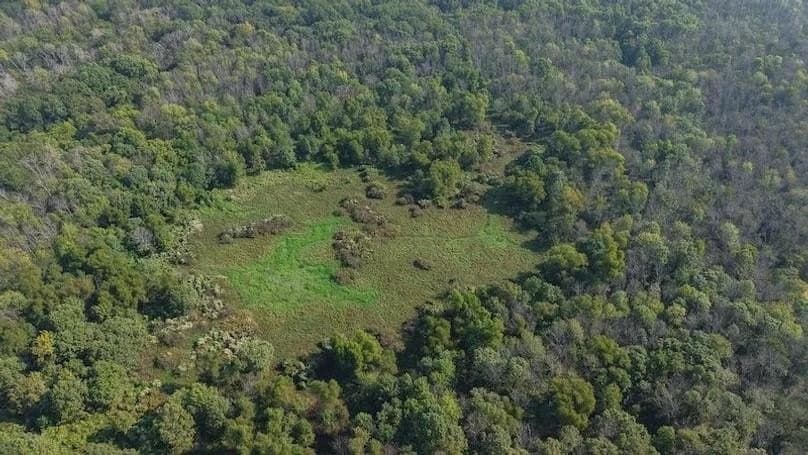 92.88 acres in Bowie County gallery image 2