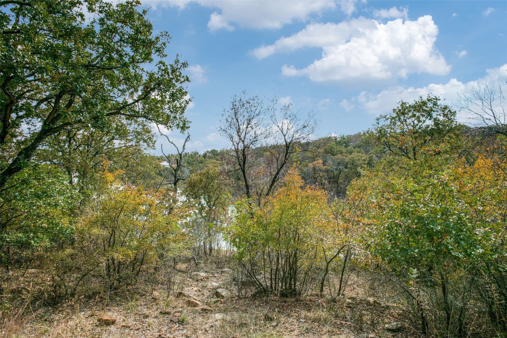 1.2 acres in Wise County - photo 12