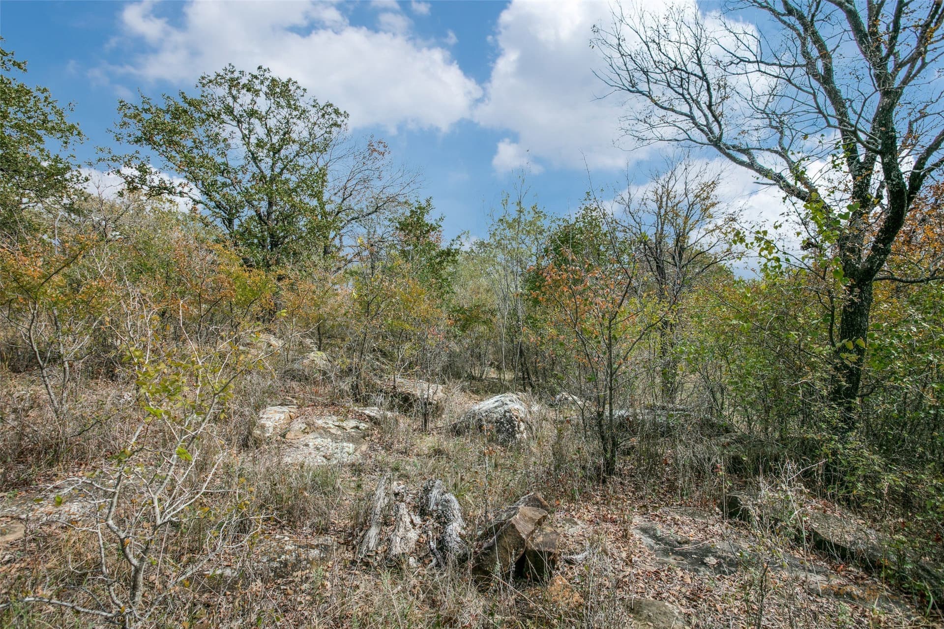 1.2 acres in Wise County - photo 11