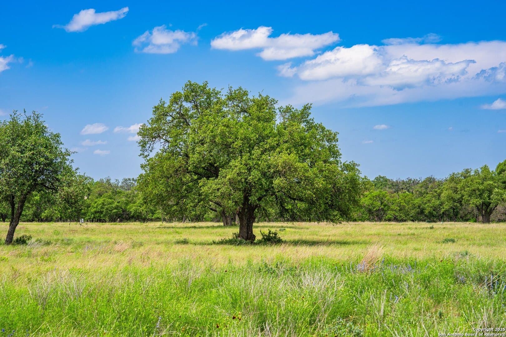 5.15 acres in Gillespie County featured view