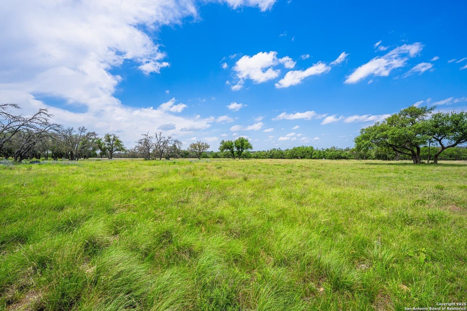 5.15 acres in Gillespie County - photo 7