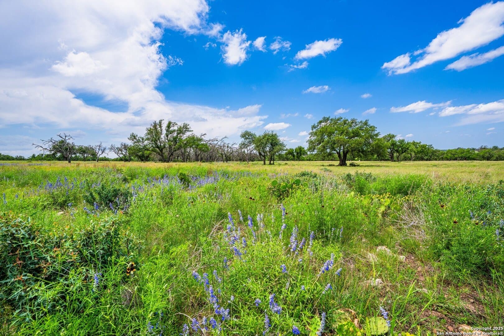 5.15 acres in Gillespie County gallery image 3