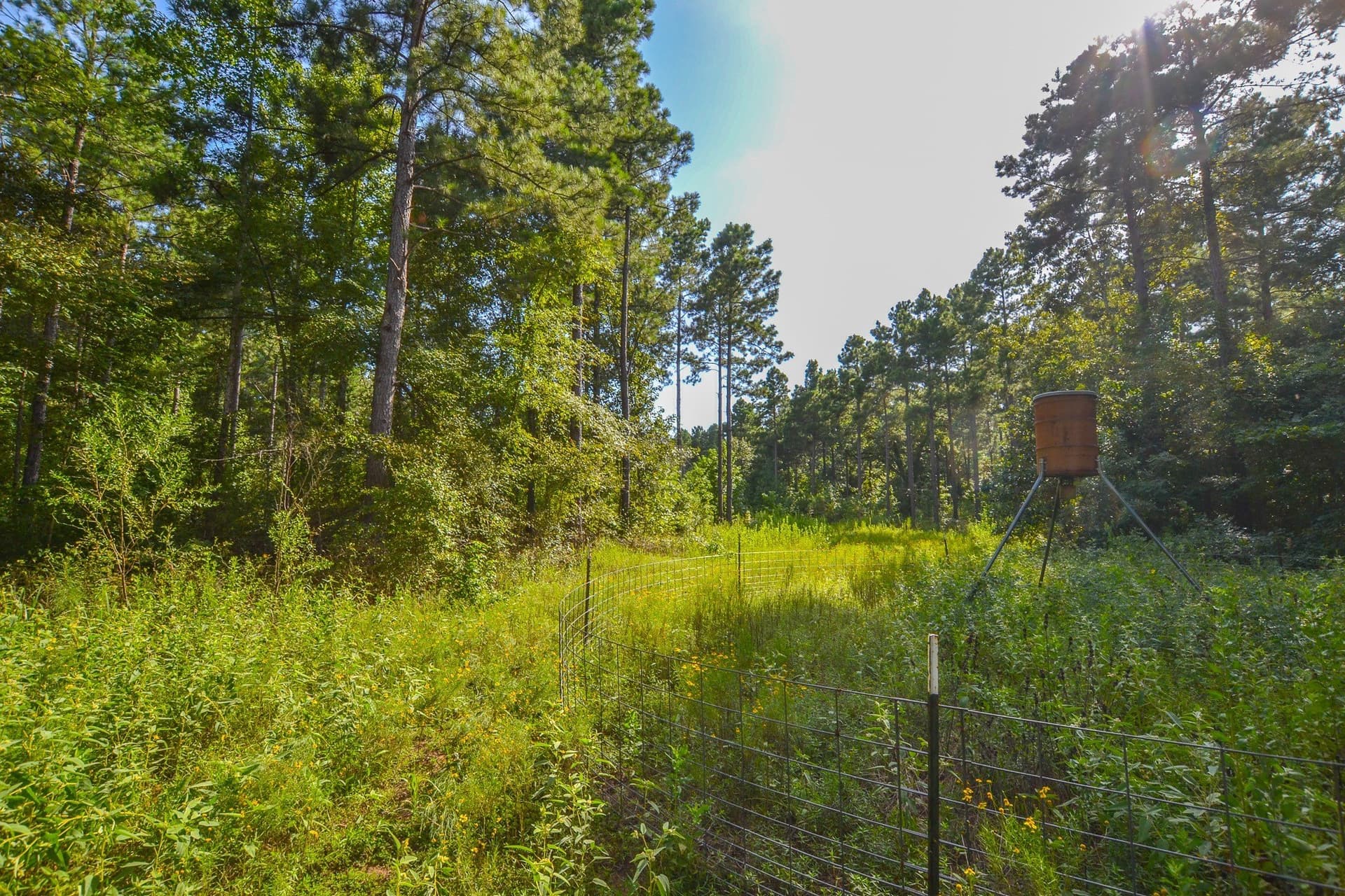 30 acres in Henderson County - photo 3