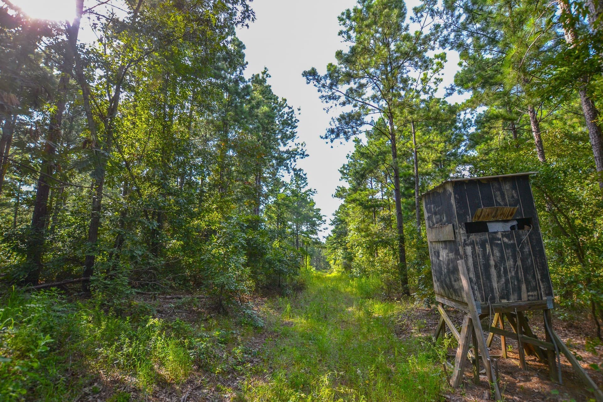 30 acres in Henderson County - photo 7