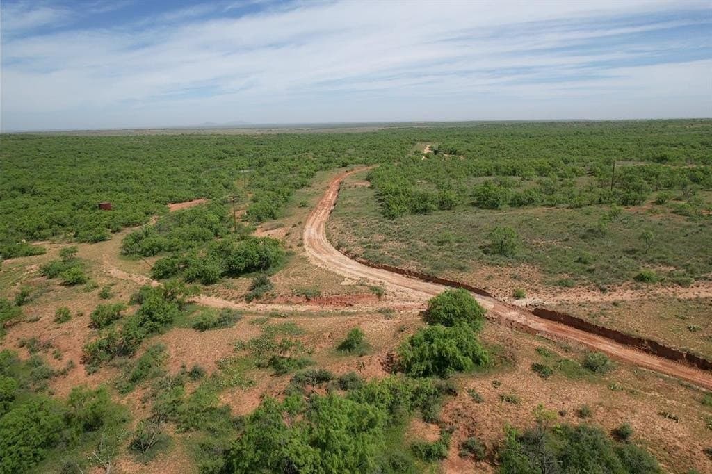 398.32 acres in Fisher County gallery image 4