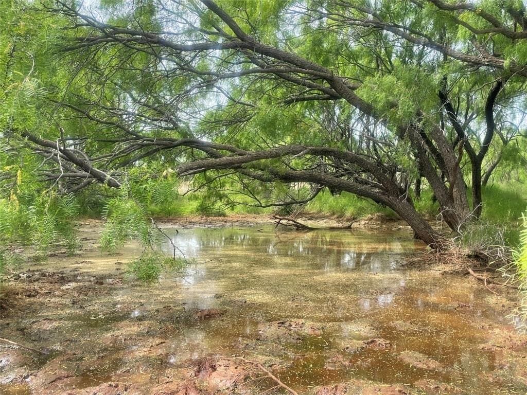 398.32 acres in Fisher County gallery image 3