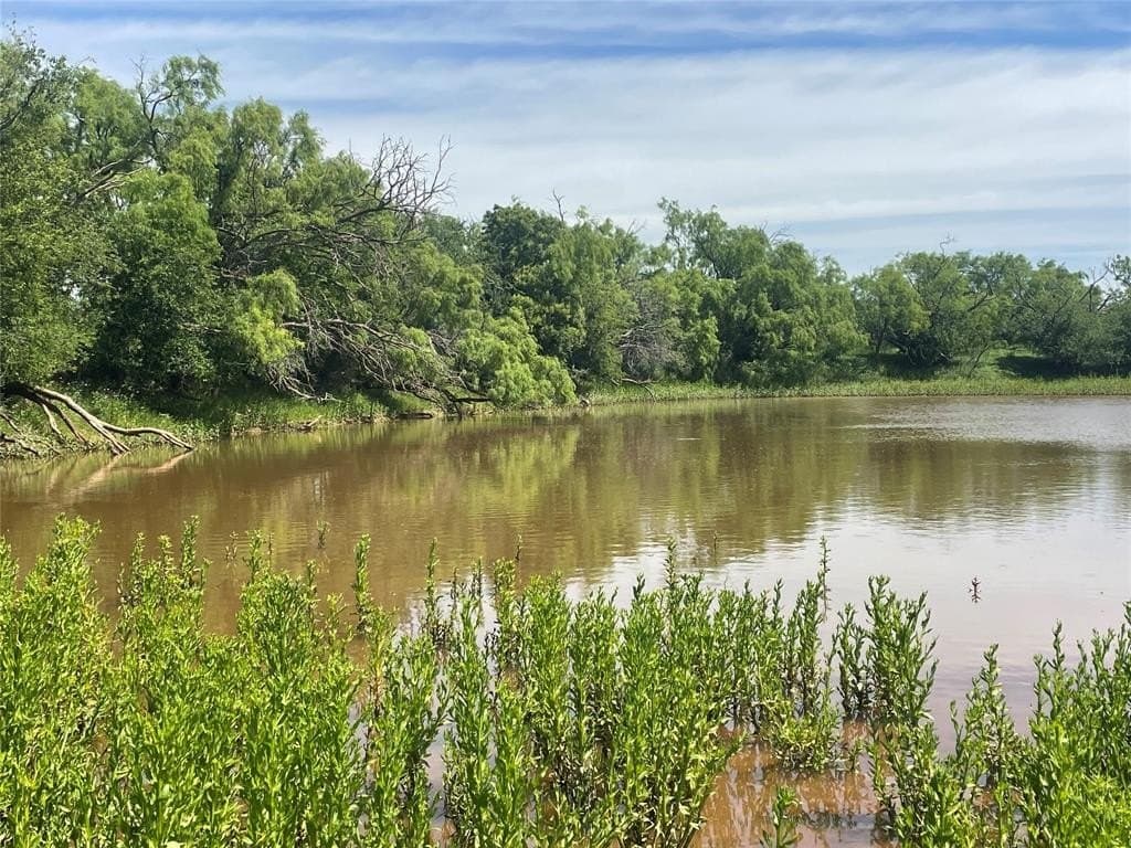 398.32 acres in Fisher County gallery image 2