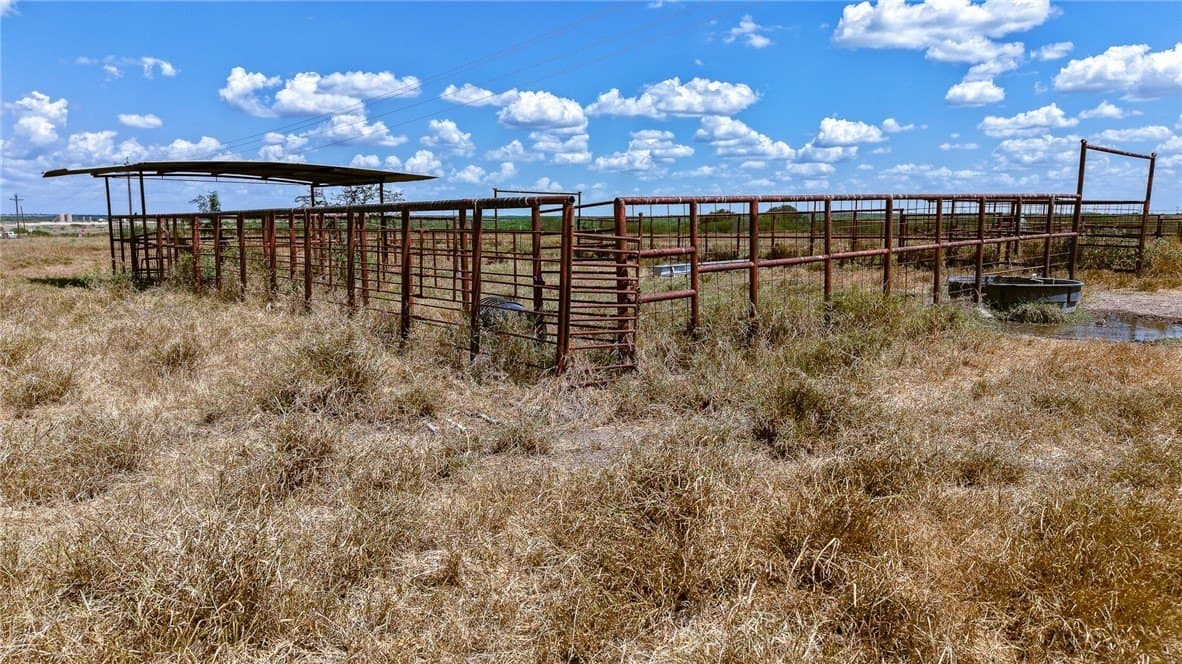 22.19 acres in Live Oak County - photo 4