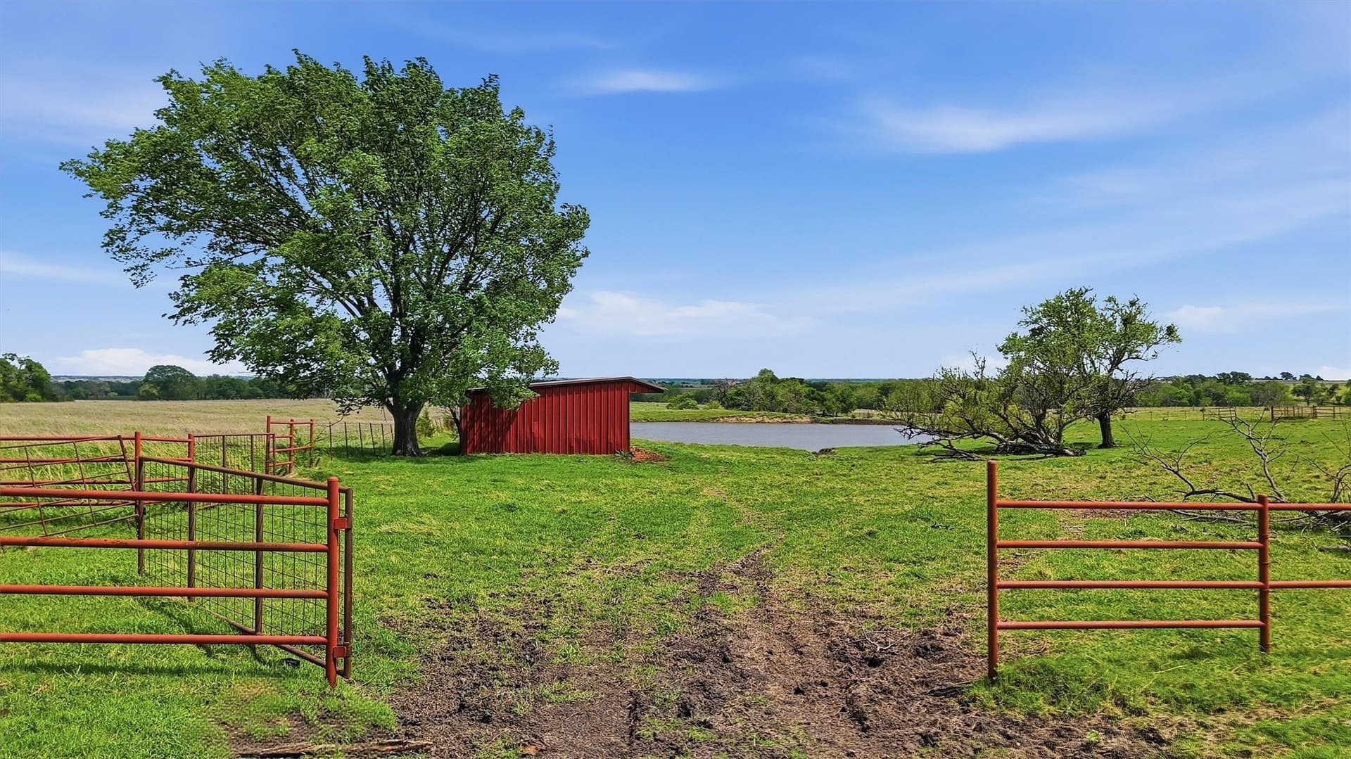 61 acres in Grayson County gallery image 4