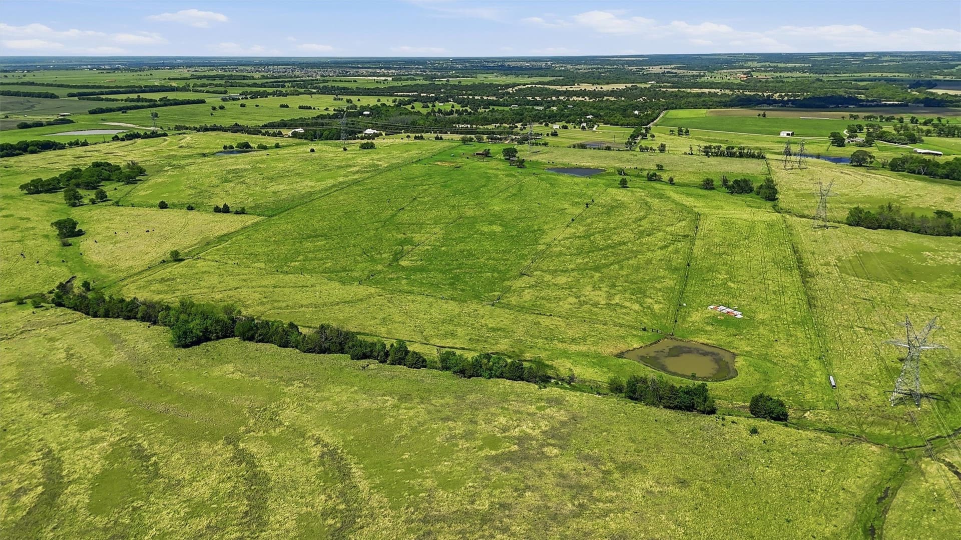 61 acres in Grayson County - photo 19