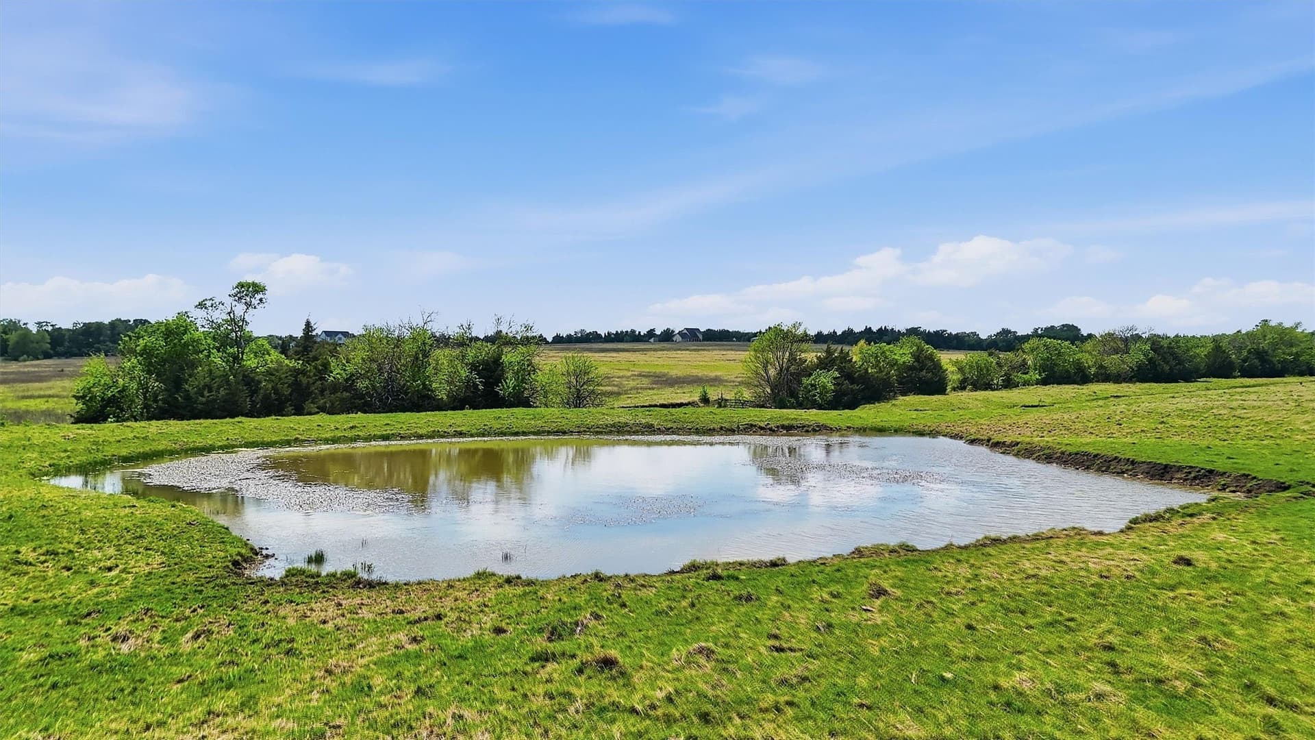 61 acres in Grayson County - photo 23