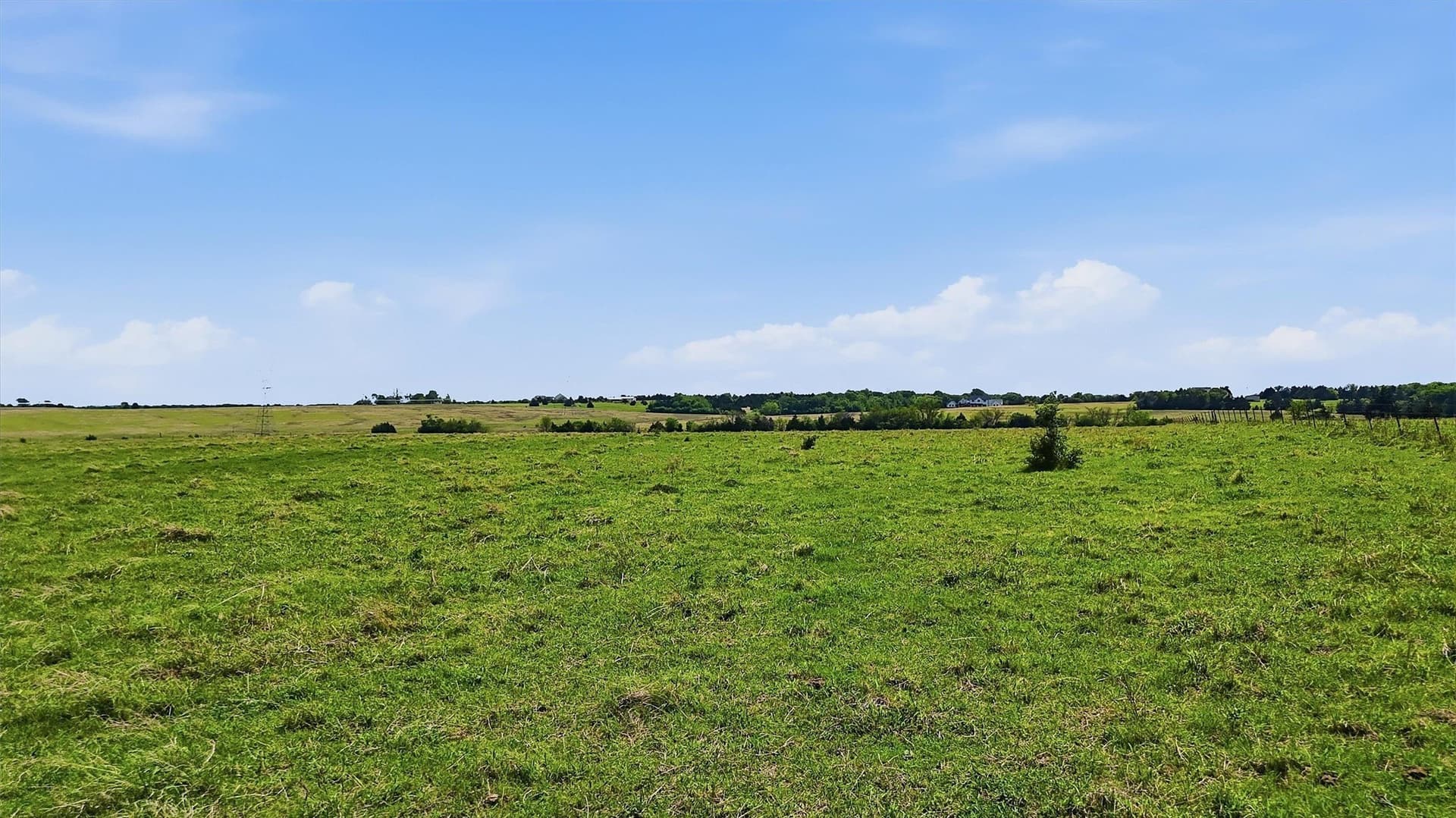 61 acres in Grayson County - photo 13