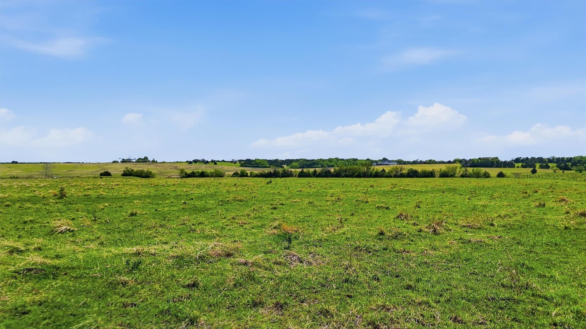 61 acres in Grayson County - photo 14